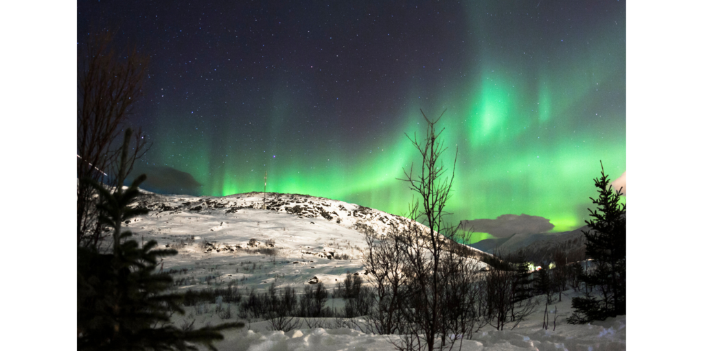 寒冬.png 寒冬.png