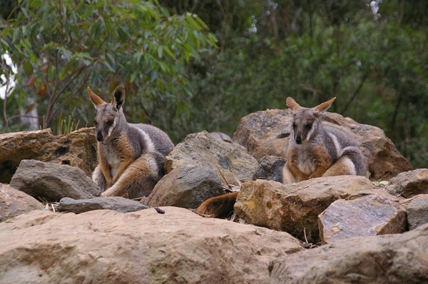 Australia_Day09_48.jpg