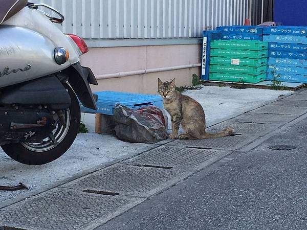 IMG_8890.JPG IMG_8890.JPG