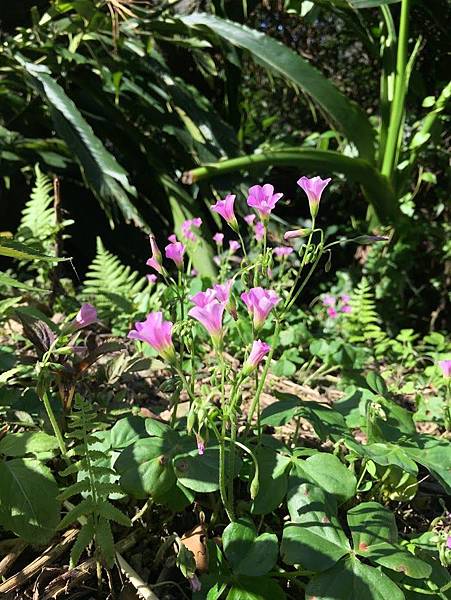 午後三時 午後三時