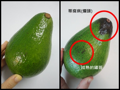 酪梨成熟度辨別.jpg 酪梨成熟度辨別.jpg