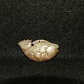 和闐玉魚珮〔寬 6.5∕高 3.5∕厚 1.1厘米〕-重量：35g-2D.JPG