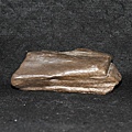 木化石-尺寸：長14.1∕寬 6.3∕高 6.4厘米-重量：603g-B.JPG
