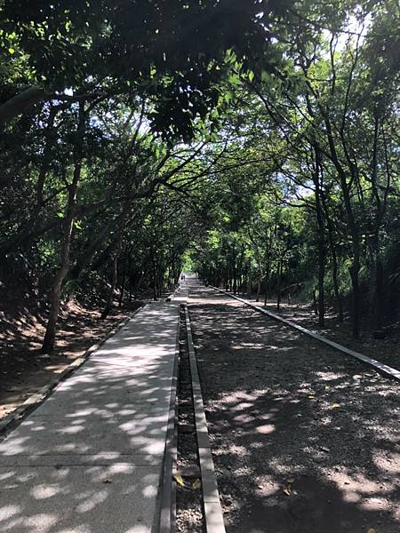 c2e45d153d33bb0f69d5bf3323131919e_64152350_210826