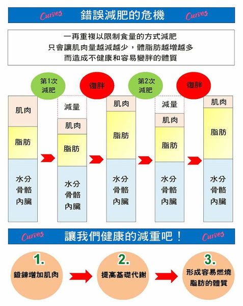 錯誤減肥的危機