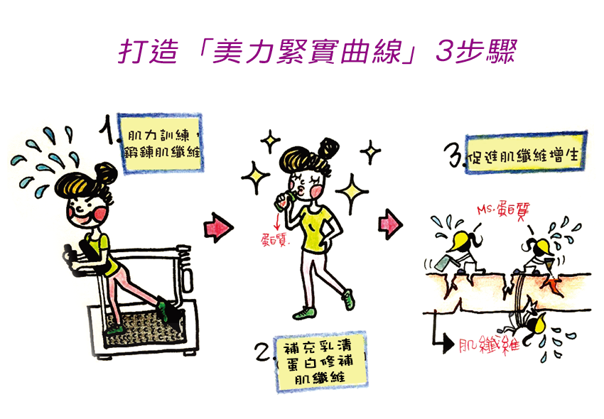 打造美力緊實曲線.png 打造美力緊實曲線.png