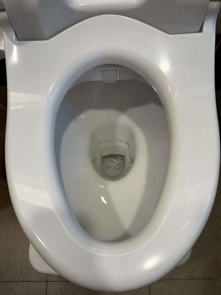 試用