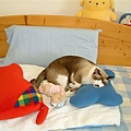 誰說不能睡在這裡，睡給你看！還邀了小紅貓、禱告熊一起來哦！.JPG