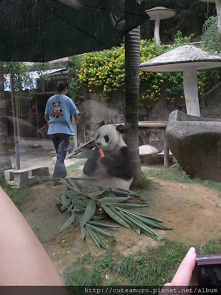 福州貓熊館