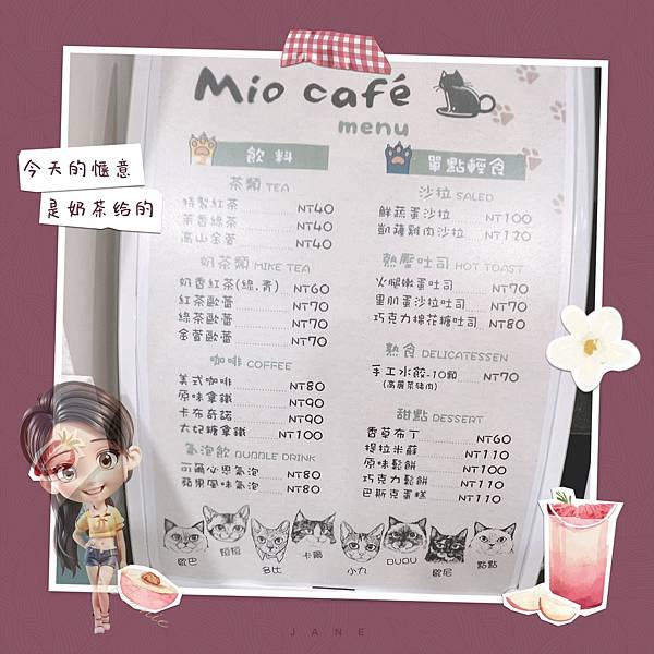 高雄美食-Mio Cafe我的貓咖啡 可以吃美食還能擼貓、逗