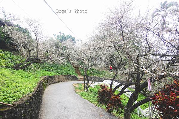IMG_2303'拷貝.jpg IMG_2303'拷貝.jpg