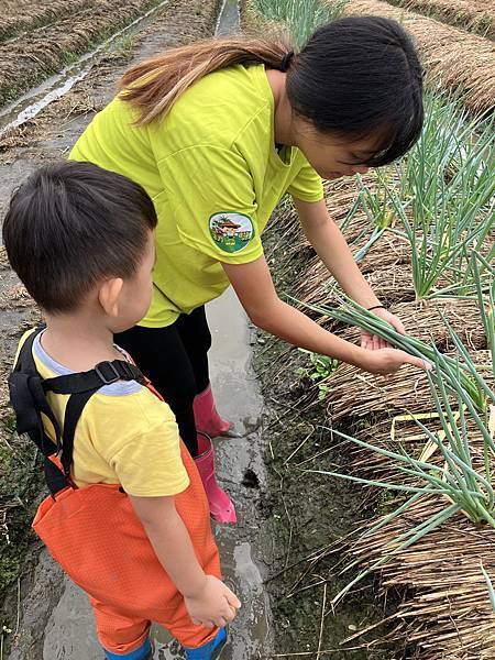 親子景點-初咪體驗農場 親子景點-初咪體驗農場