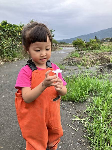 親子景點-初咪體驗農場 親子景點-初咪體驗農場