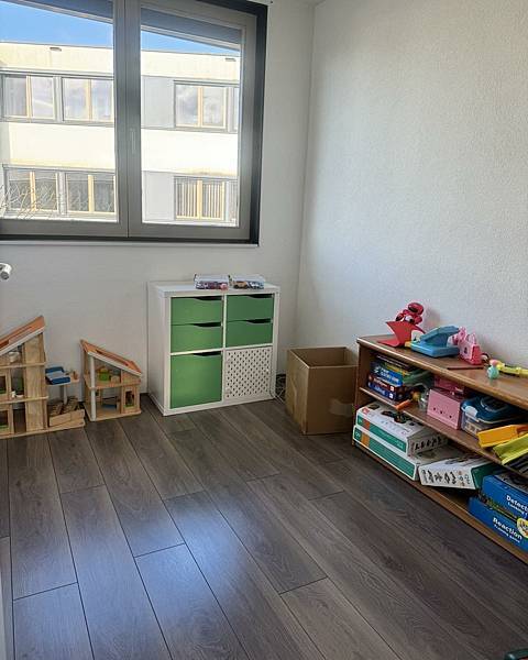 荷蘭生活 生活日誌28 海運清單中 荷蘭生活 生活日誌28 海運清單中