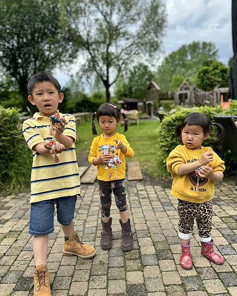 荷蘭生活 生活日誌33 海運的遺珠之憾(有些東西我們在荷蘭購 荷蘭生活 生活日誌33 海運的遺珠之憾(有些東西我們在荷蘭購