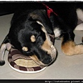 sleeping on daddy's slippers 