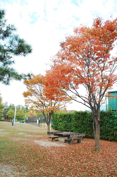 秋賞紅葉 京阪奈day4 平安神宮 Gafa 痞客邦 秋賞紅葉 京阪奈day4 平安神宮 Gafa 痞客邦