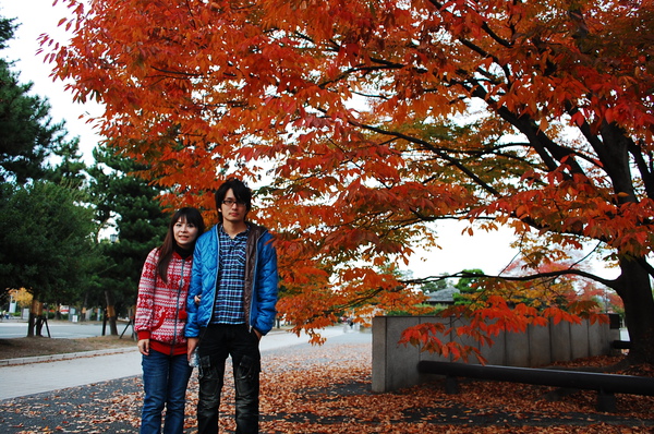 秋賞紅葉 京阪奈day4 平安神宮 Gafa 痞客邦 秋賞紅葉 京阪奈day4 平安神宮 Gafa 痞客邦