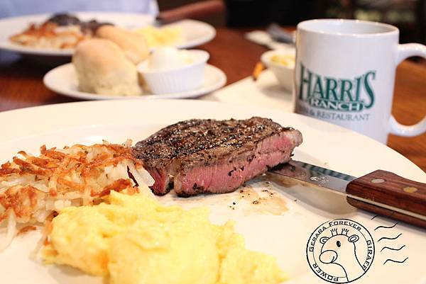 steak steak
