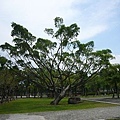 6-02宜蘭運動公園2007060209.jpg