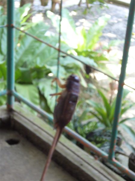 P1090561.JPG