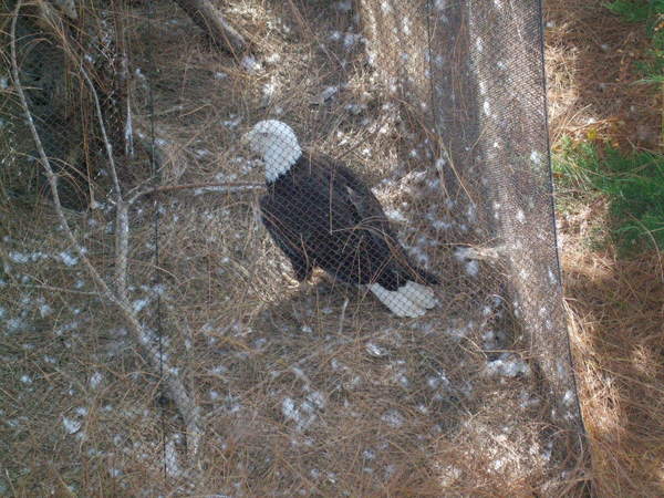 San Diego Wild Animal Zoo 164.jpg