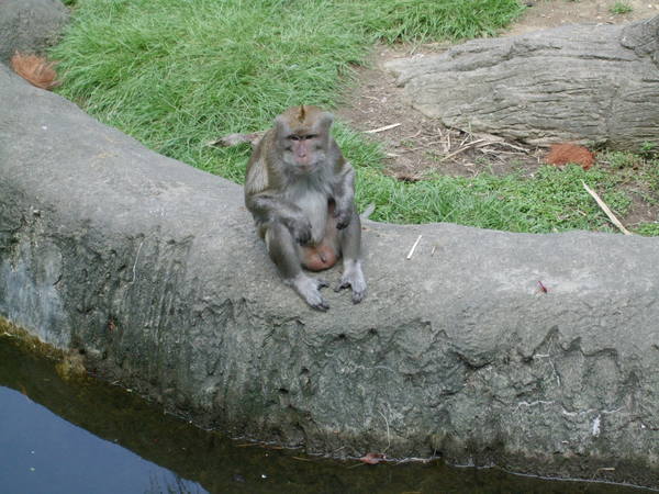 動物園9.20 011.jpg