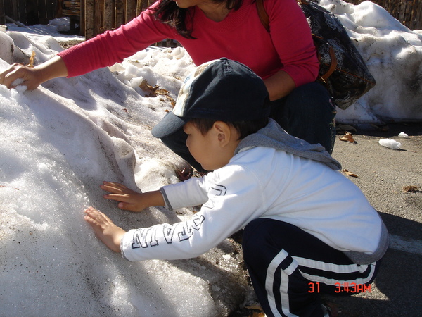 玩雪摘蘋果12.30 008.jpg