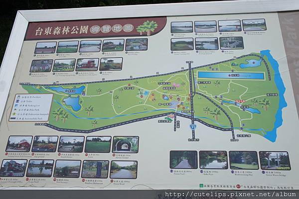 森林公園導覽地圖