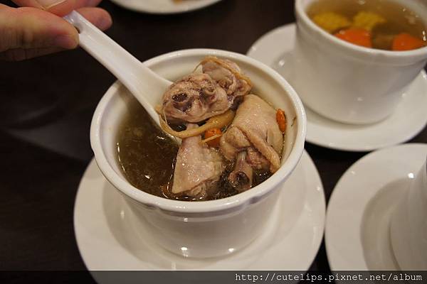 養生燉雞湯