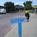 20070813_cutene in Fort Worth Stock Yard, USA_2 (by 小凡)