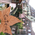 20081110_cutene in Colmar(科瑪), France (by Sabrina).JPG