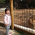 新竹市立動物園.JPG