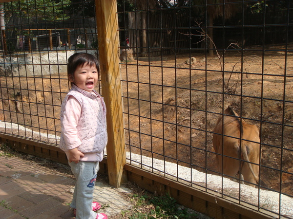 新竹市立動物園.JPG