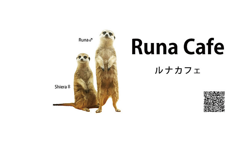 (www.facebook.com)runa001