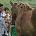 日本小朋友看到馬超嗨