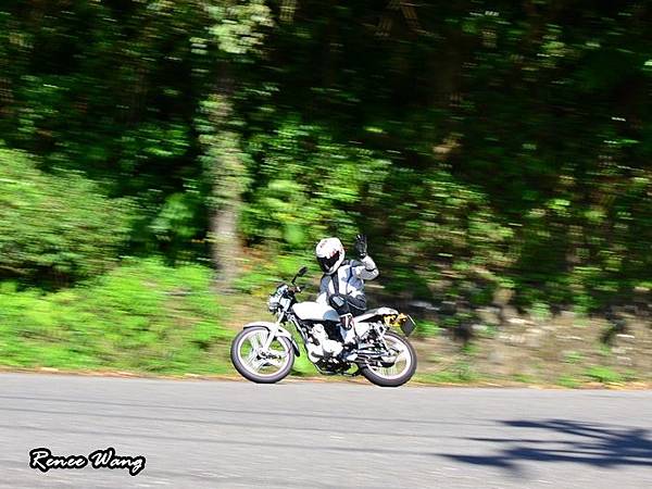 DSC_0650 DSC_0650