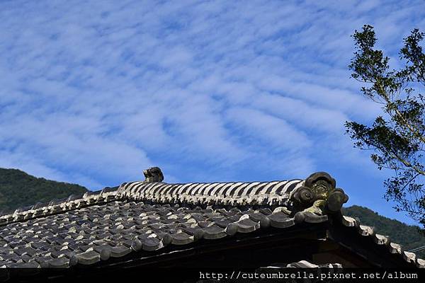 2013.01.31 平溪一日遊_DSC_7341.jpg