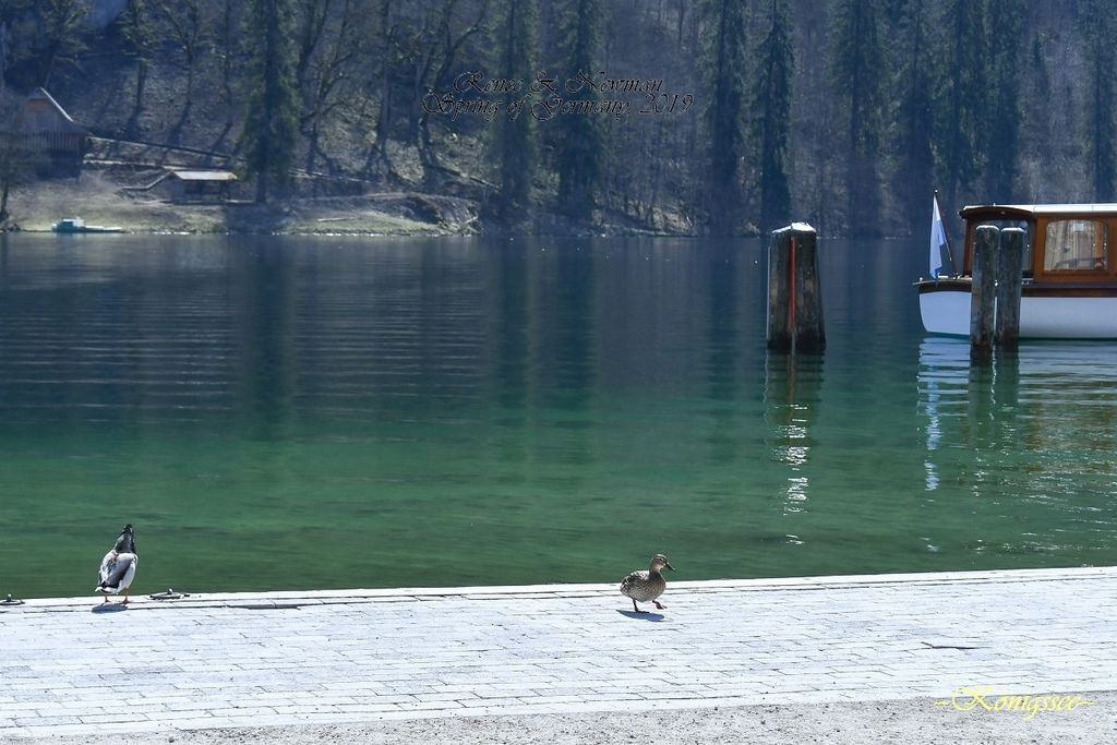 2019.04.07  Königssee_DSC_6686-1.jpg