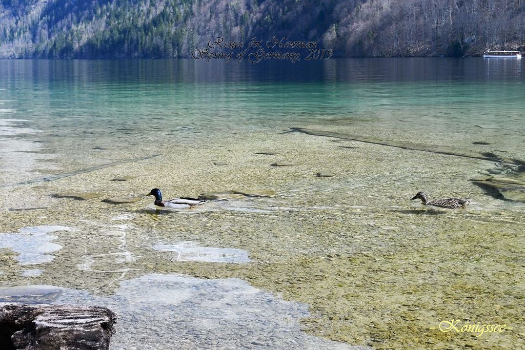 2019.04.07  Königssee_DSC_6712-1.jpg