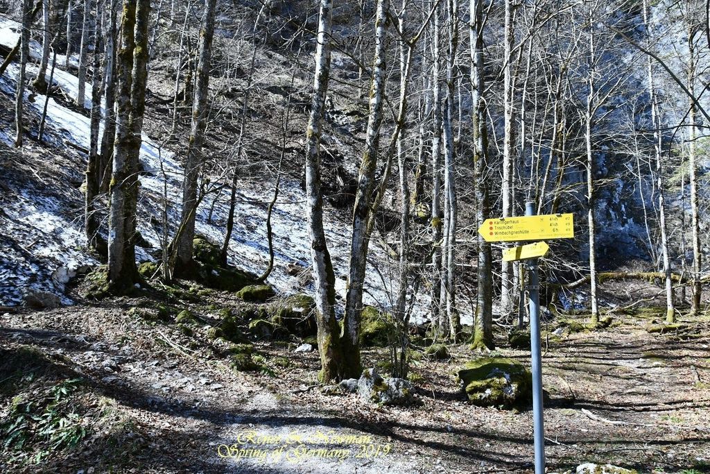 2019.04.07  Königssee_DSC_6774.jpg