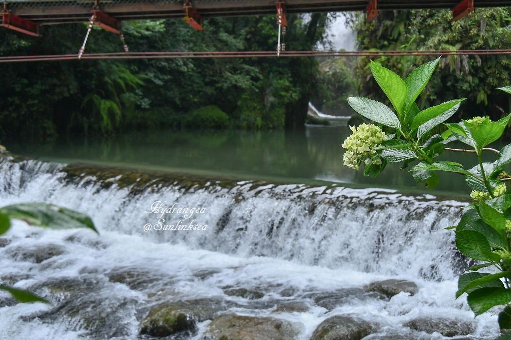 2019.05.18-19  家族旅行_杉林溪_DSC_9050-1_副本.jpg