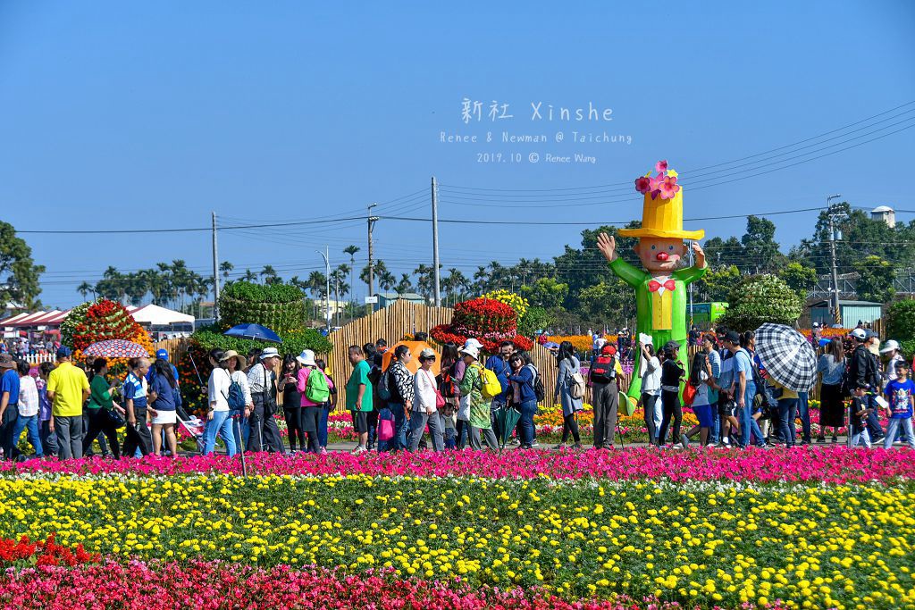 2019.11.16  新社花海_DSC_1639_副本.jpg