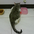 DSC00060.JPG
