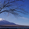 富士五湖 山中湖 南側