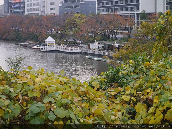 神樂坂 canal café