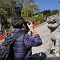 鎌倉 鶴岡八幡宮