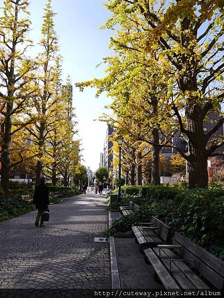 人形町  浜町公園