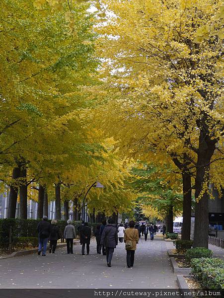 上野公園 文化會館