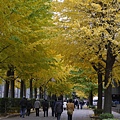 上野公園 文化會館